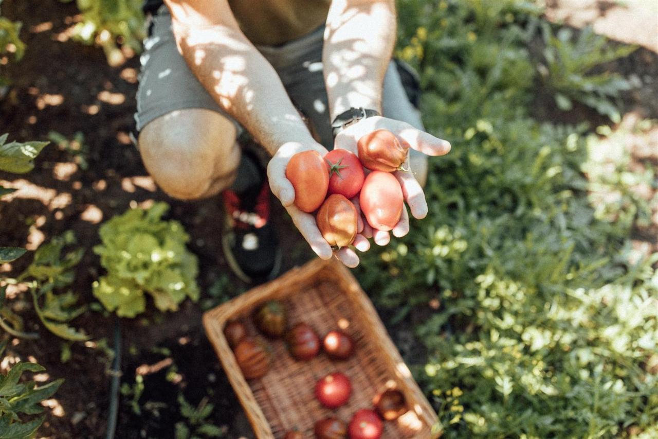 Biohotel Theiner'S Garten لانا المظهر الخارجي الصورة