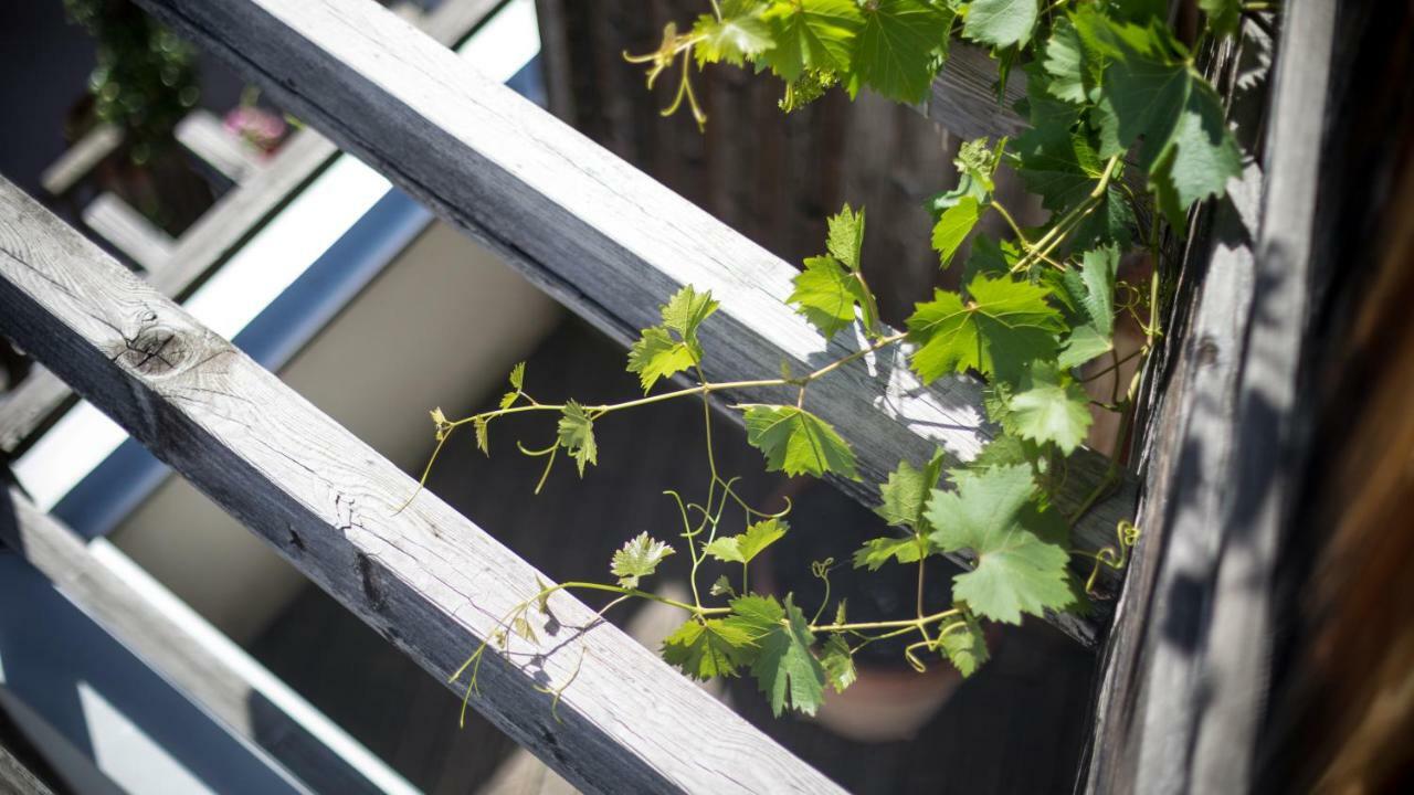 Biohotel Theiner'S Garten لانا المظهر الخارجي الصورة